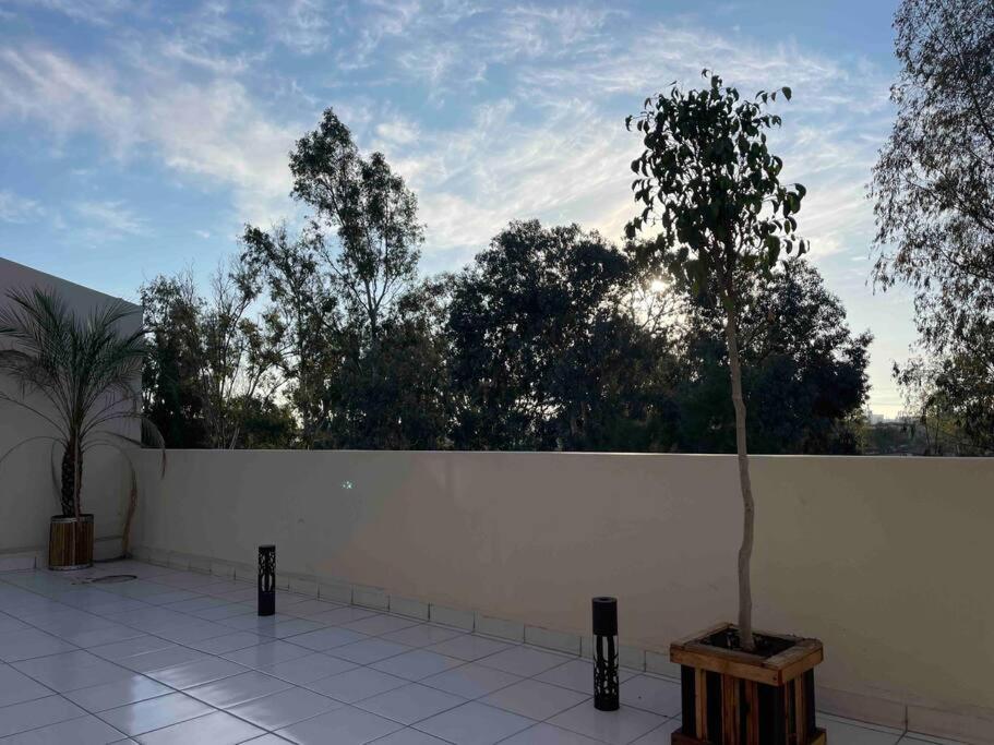 Otay Studio Great Patio Near Otay Crossing & Airport 티후아나 외부 사진